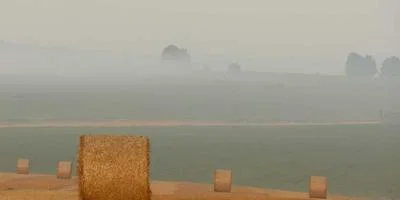 个人品牌